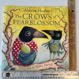3 children’s hardback books